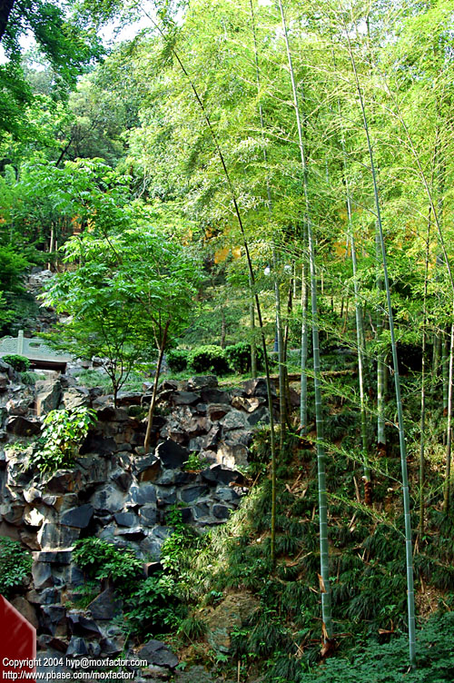 Hangzhou 杭州 - Linyin Temple 靈隱寺