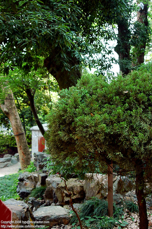 Hangzhou 杭州 - Linyin Temple 靈隱寺