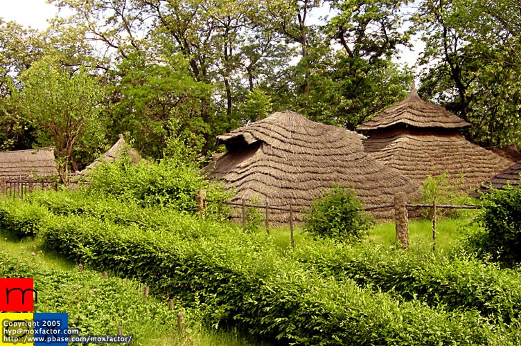 Shenyang 瀋陽 - 新樂遺址 Xinle new stone age archaeological site