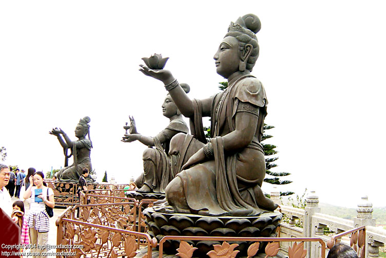 Hong Kong 香港 - Lantau Island 大嶼山 - 寶蓮寺(Po Lin Monastery) - 天壇大佛(Giant Buddha)