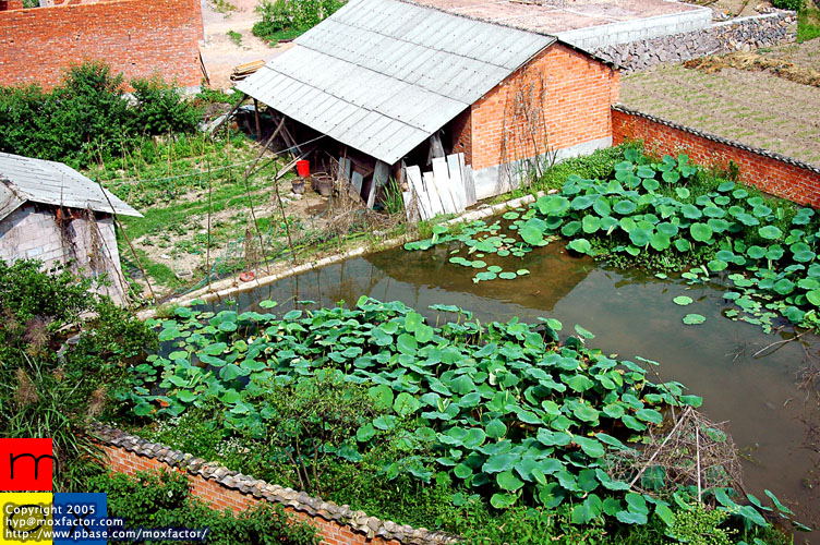 Jinhua 金華