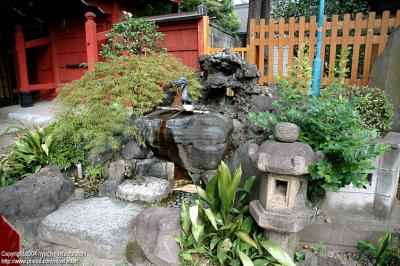 Tokyo 東京 - 浅草寺仲見世 Sensoji backstreets