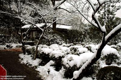 Hangzhou 杭州 - 三月中突然下雪