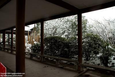 Hangzhou 杭州 - 三月中突然下雪