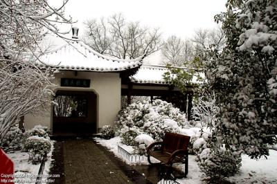 Hangzhou 杭州 - 三月中突然下雪