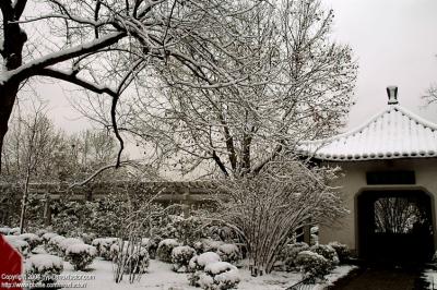 Hangzhou 杭州 - 三月中突然下雪
