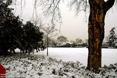 Hangzhou 杭州 - 三月中突然下雪