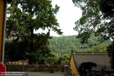 Hangzhou 杭州 - Linyin Temple 靈隱寺