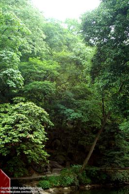 Hangzhou 杭州 - Linyin Temple 靈隱寺