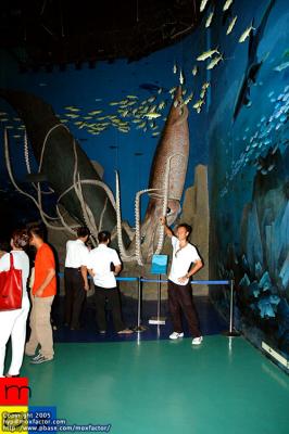Dalian 大連 - 極地水族館 Jidi Aquarium