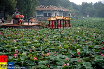 Jilin 吉林 - Beishan Park (吉林 - 北山公園)