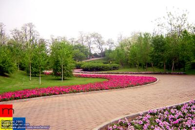 Shenyang 瀋陽 - 植物園 Botanical Gardens