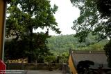 Hangzhou 杭州 - Linyin Temple 靈隱寺