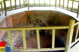 Shenyang 瀋陽 - 新樂遺址 Xinle new stone age archaeological site