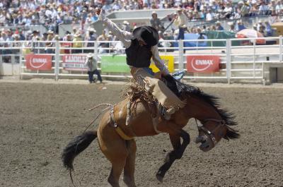 Saddle Bronc