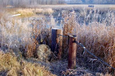 Hoar Frost