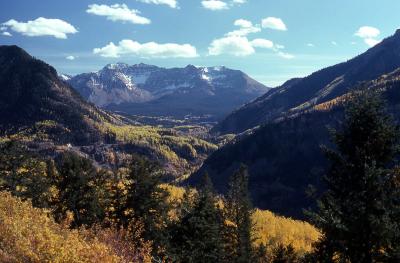 Colorado Aspens-Oct-78 2.jpg