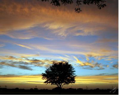 Sunset Rita