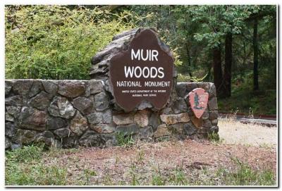 Muir Woods, Mill Valley, California