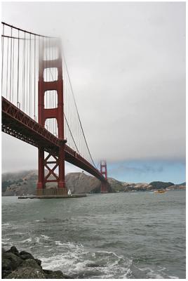 Fog