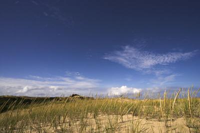 Provincetown Great Dunes Grass and Sky.jpg