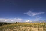 Provincetown Great Dunes Grass and Sky.jpg