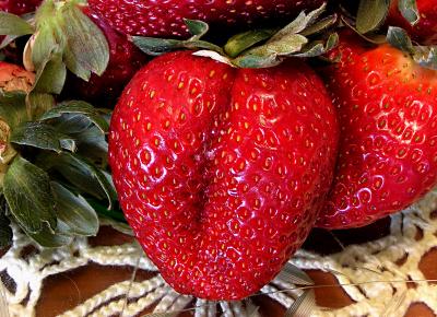 North Florida Strawberries