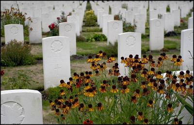 Canadian WW2 Graves
