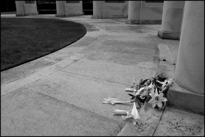Memorial and Dead Flowers
