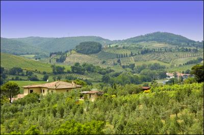 Tuscan Scene