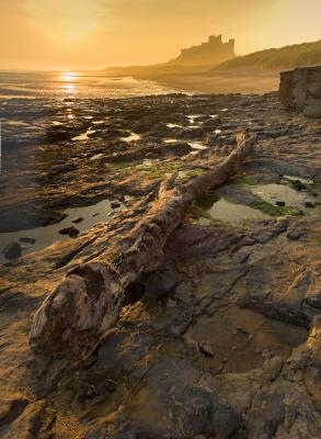 Bamburgh Castle 3