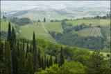 Tuscan View