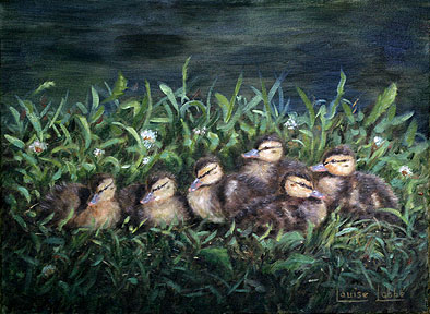 Canetons duveteux - Huile 12 X 16 - Collection privée