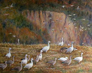 Aire de repos - Huile 24 X 30 - Collection privée