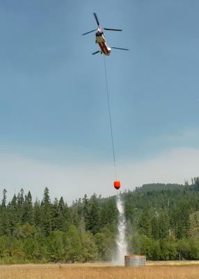 v3/64/209564/3/48020088.blossom_fire31_9841.jpg