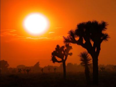 HONORABLE MENTION - Desert Scene - Smokey Sunset