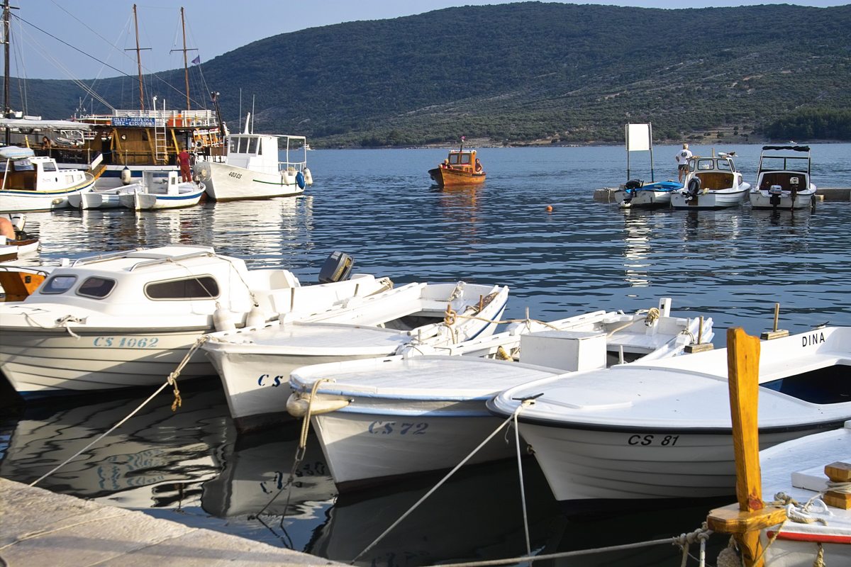 IMG04455.jpg