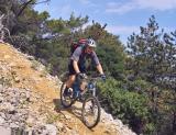 Ross - Downhill