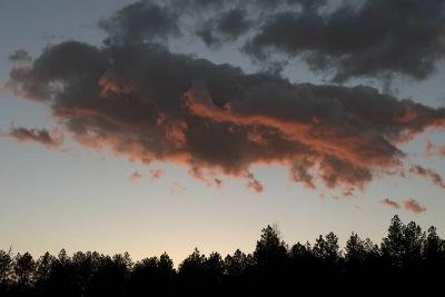 Twilight