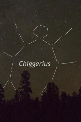 Chiggerius