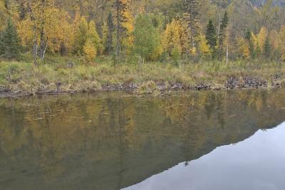 Fall Colors From Eagle River Nature Center