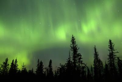 September 10 over Sitka spruce