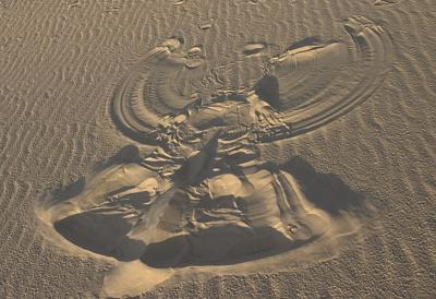 Completed Sand Angel