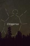 Chiggerius