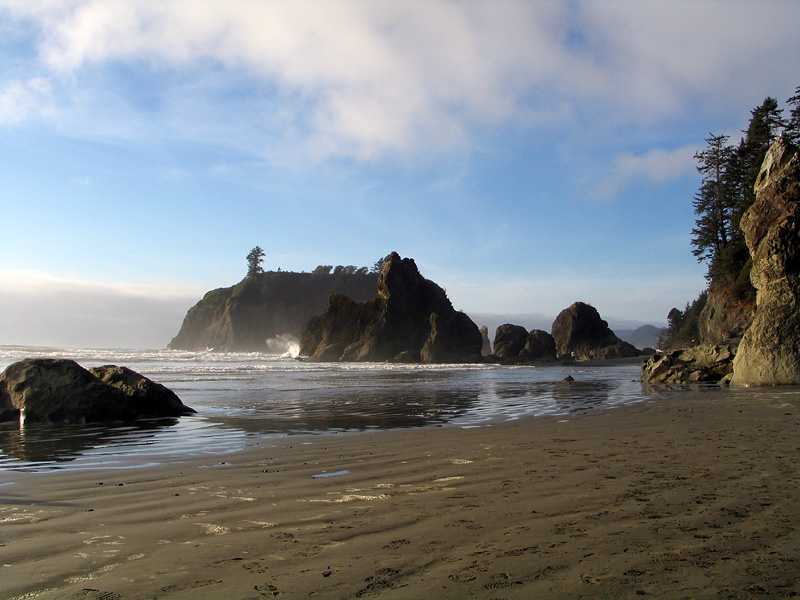 Ruby Beach, Olympic Nat; Park