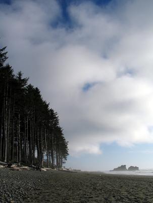 Olympic Nat'l Park, WA. ,Ruby Beach