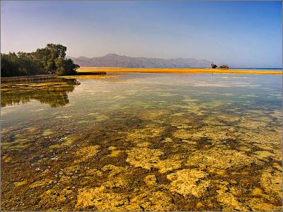 Tidal flats