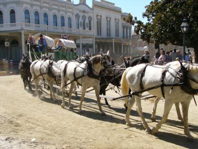203 Eight horses, two wagen