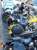 800 Harley Biker
