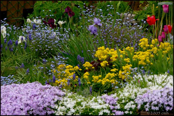 Rock Garden full size 5258 copy.jpg
